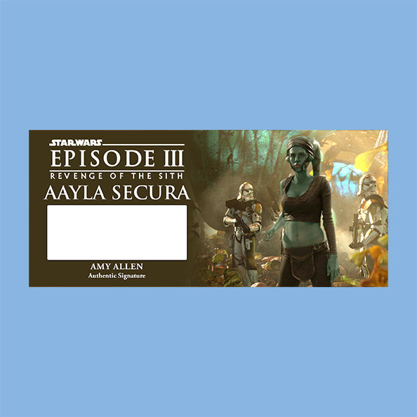 AMY ALLEN - AAYLA SECURA - PLAQUES - BRUSHED METAL