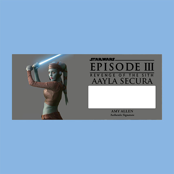 AMY ALLEN - AAYLA SECURA - PLAQUES - BRUSHED METAL