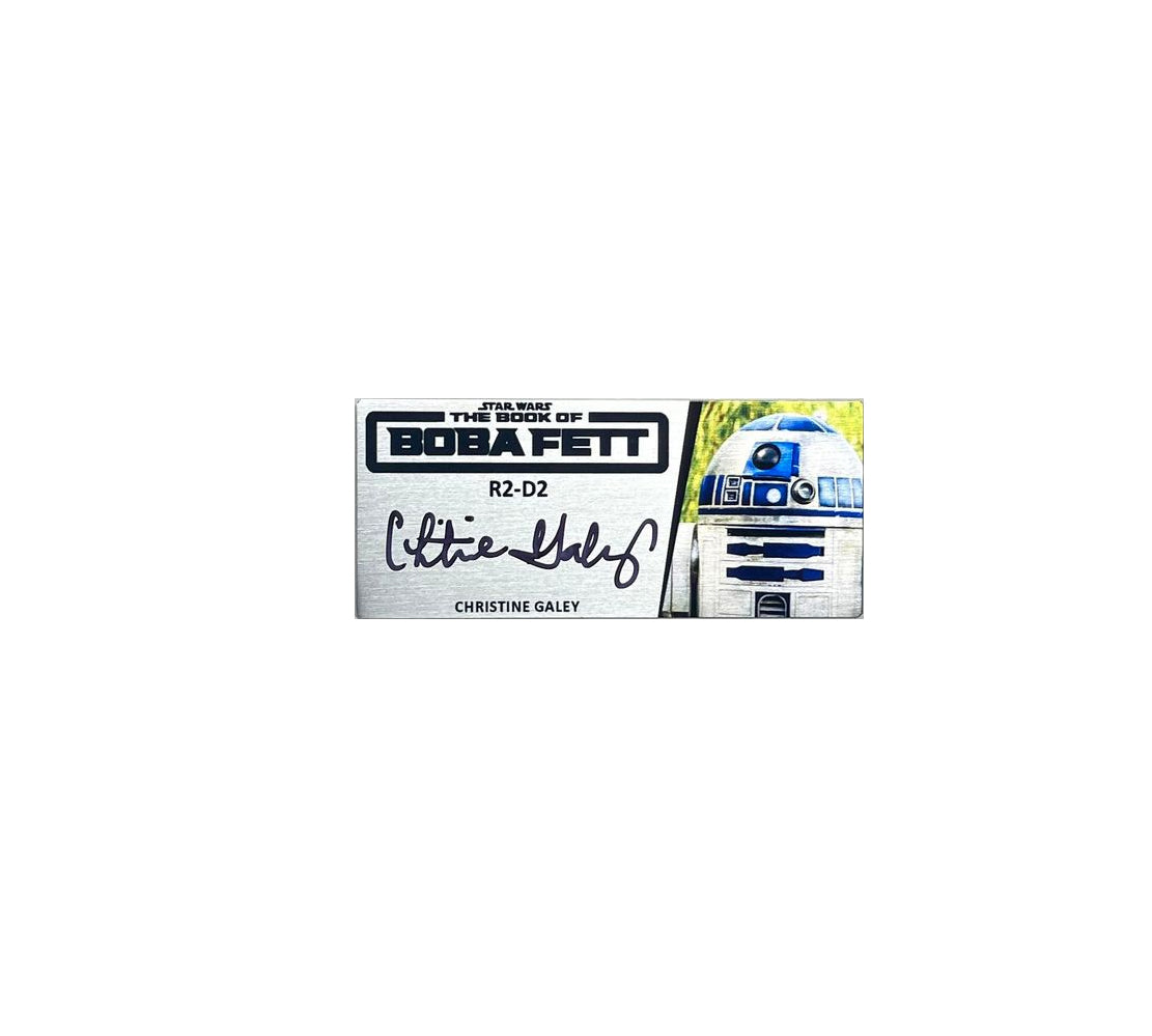 CHRSTINE GALEY - R2-D2 - BOOK OF BOBA FETT - SMALL V2