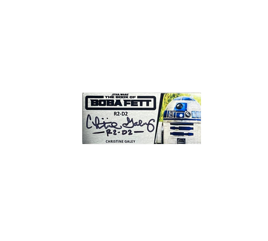 CHRSTINE GALEY - R2-D2 - BOOK OF BOBA FETT - SMALL V1