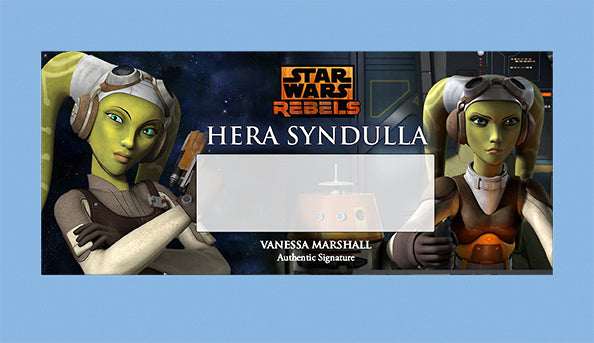 Vanessa Marshall - HERA SYNDULLA - BRUSHED METAL