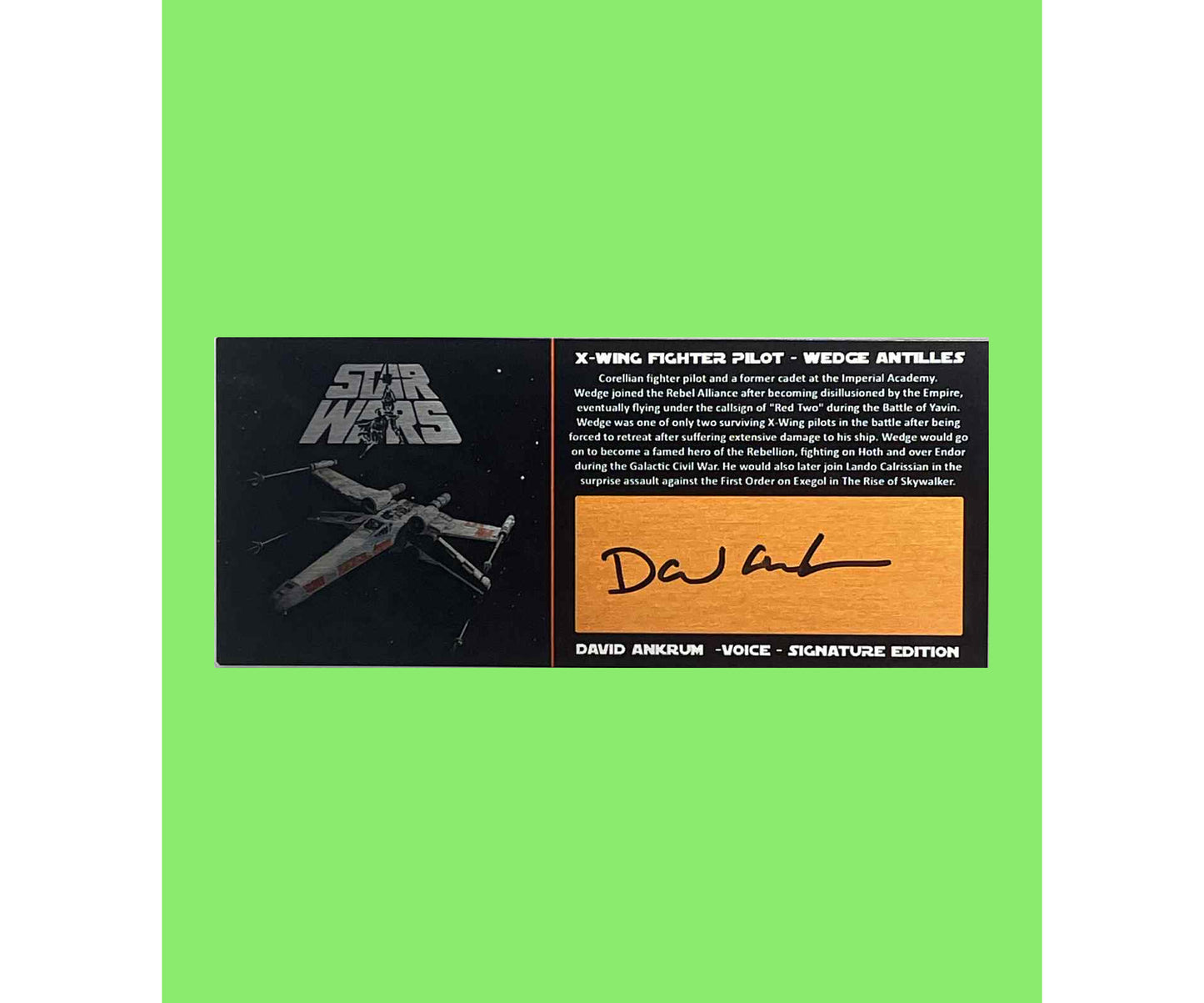 DAVID ANKRUM - WEDGE ANTILLES