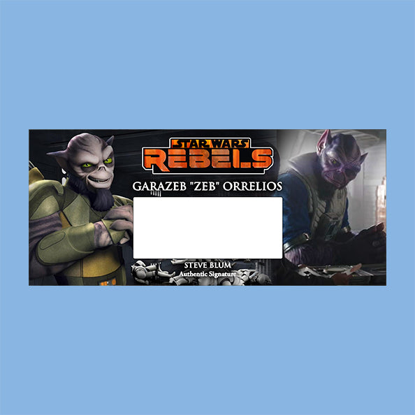 STEVE BLUM - ZEB - REBELS - PLAQUE - BRUSHED METAL