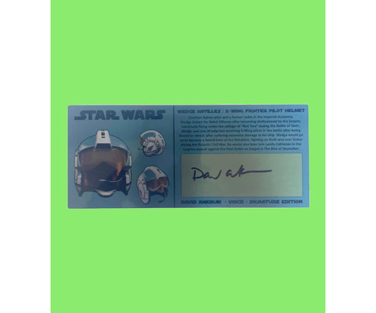 DAVID ANKRUM - WEDGE ANTILLES - X-WING HELMET 3X7
