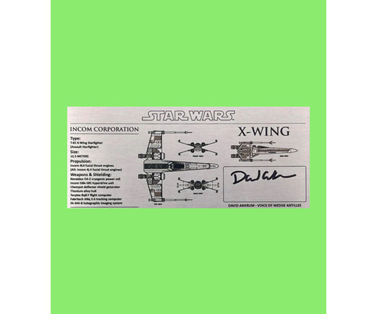 DAVID ANKRUM - WEDGE ANTILLES - X-WING SPECS 3X7