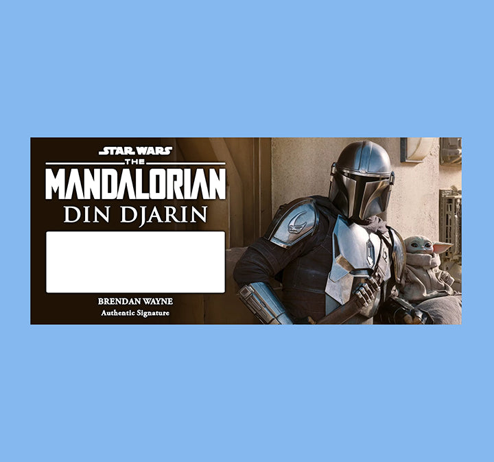 BRENDAN WAYNE - DIN DJARIN - THE MANDALORIAN - PLAQUE - BRUSHED METAL