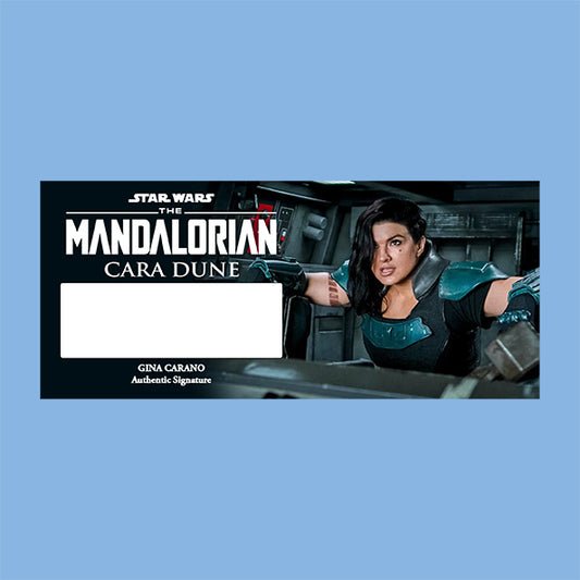 GINA CARANO - CARA DUNE - PLAQUES - BRUSHED METAL