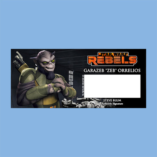 STEVE BLUM - ZEB - REBELS - PLAQUE - BRUSHED METAL